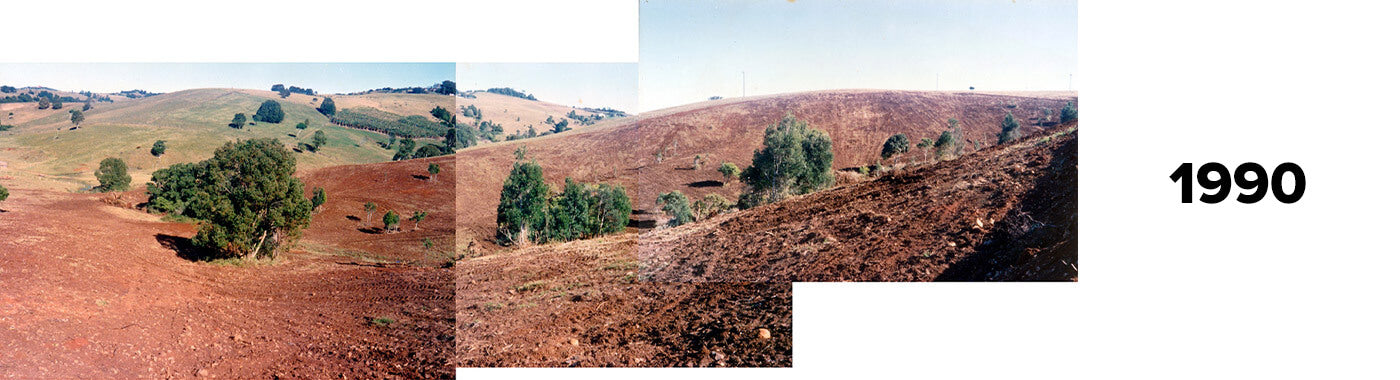 Brookfarm Farm in 1990