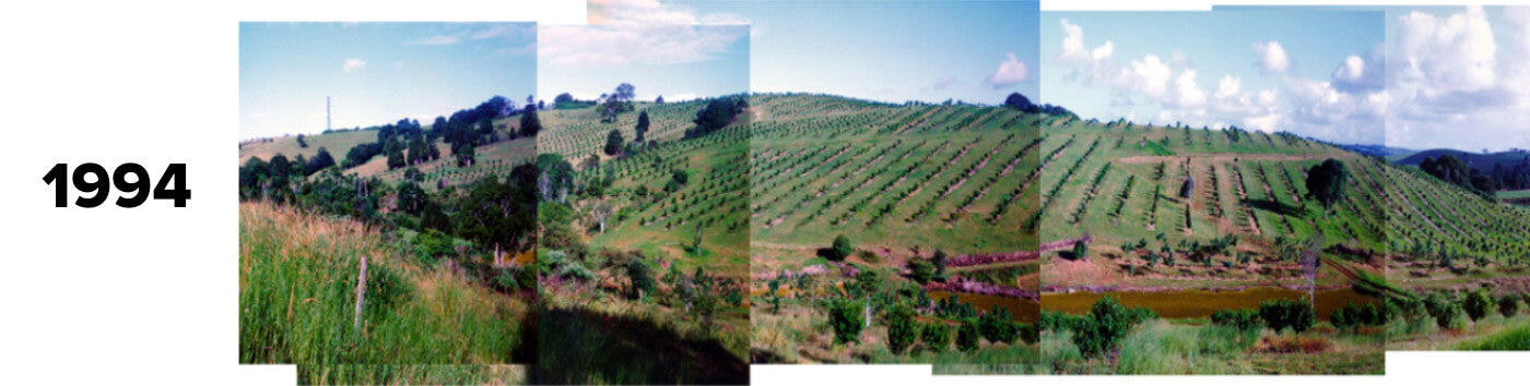 Brookfarm Farm in 1994