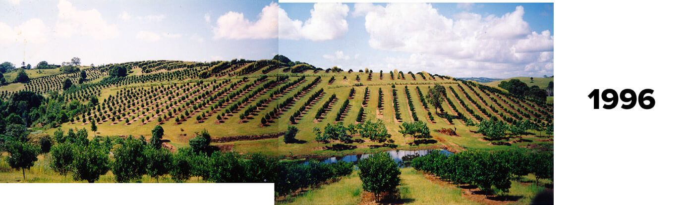 Brookfarm Farm in 1996