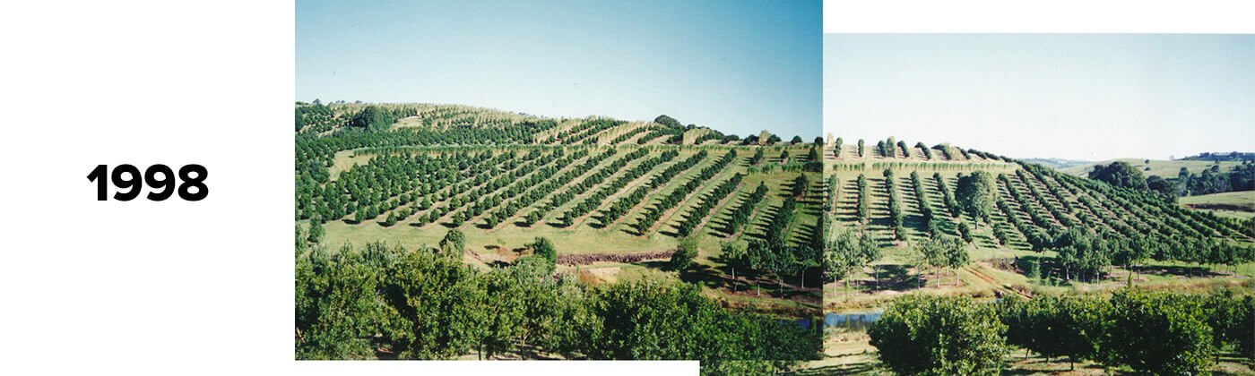 Brookfarm Farm in 1998