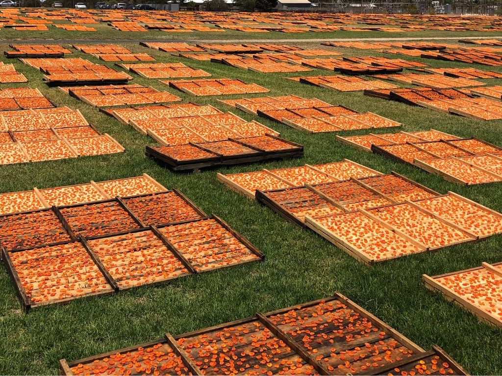 Australian Apricots by Australian Farmers Brookfarm Muesli Granola Made in Australia