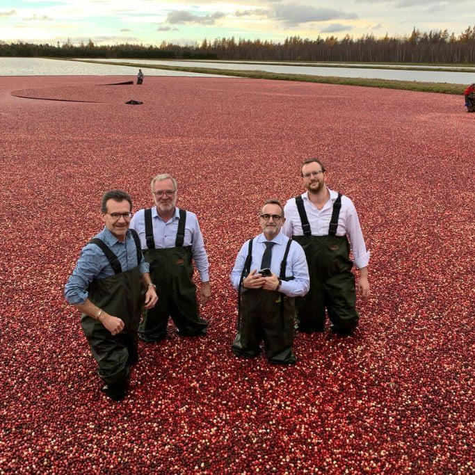 Our Ingredients: Showcasing Cranberries