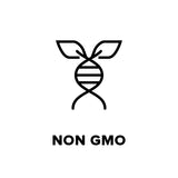 a genetic symbol to represent non genetically modified produce with the text below saying 'non gmo'