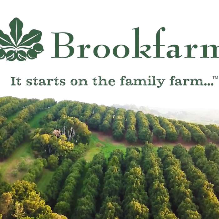 Brookfarm: Australian Made & Owned in Byron Bay